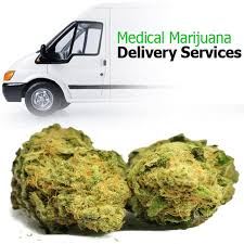 Marijuana Delivery Services : An Answer To Dispensary Bans