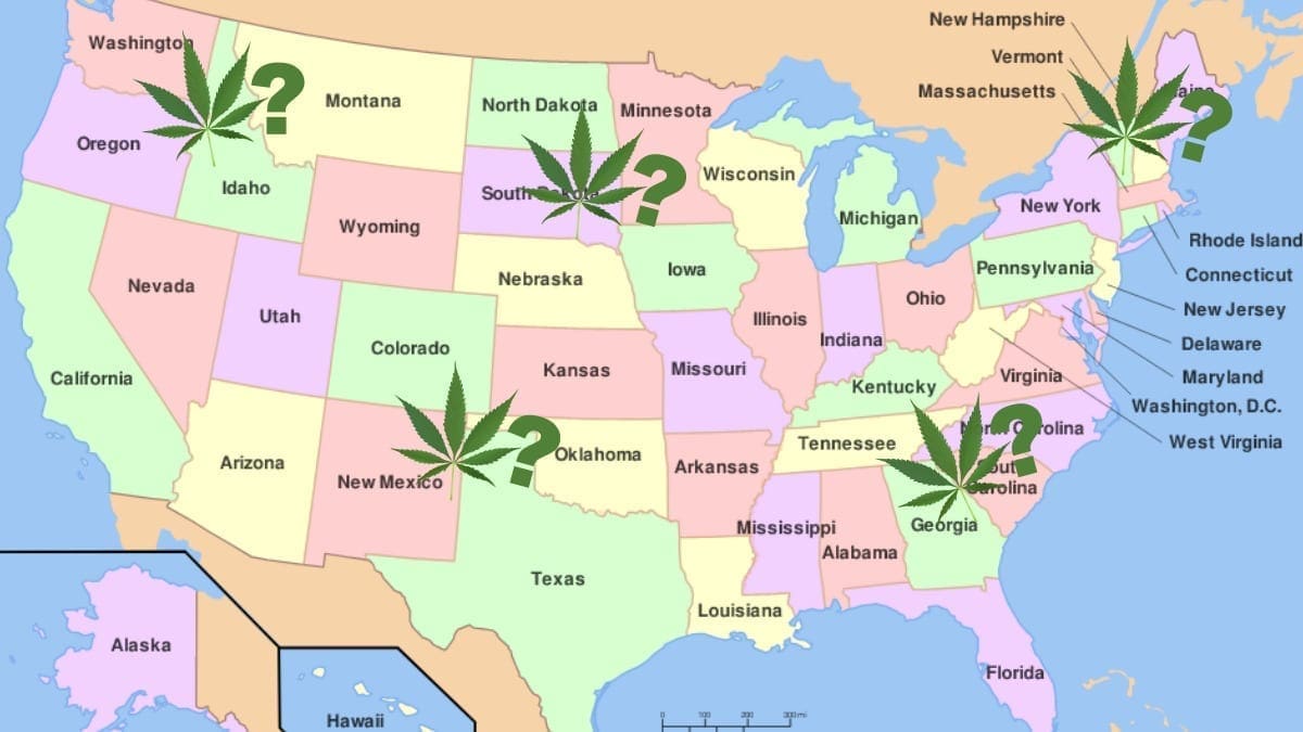 Where To Find US State Cannabis License Information