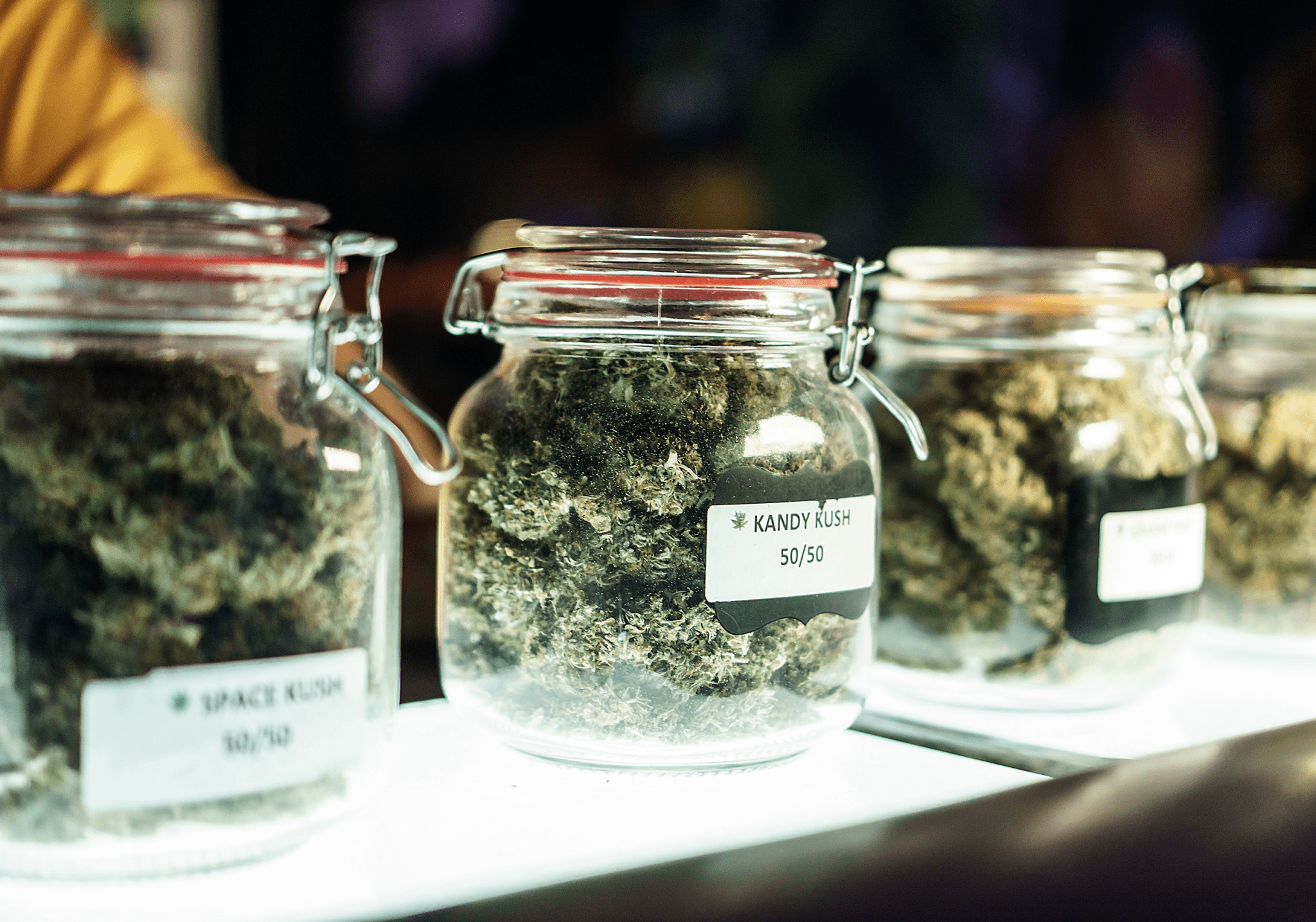 High-THC Strains: What Potency Really Means