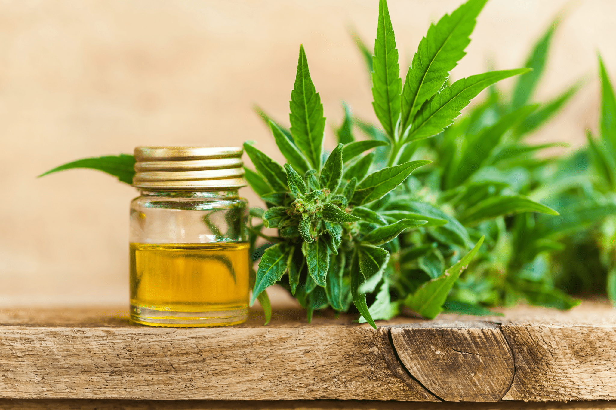 Cannabis Extracts 101: Your Essential Guide