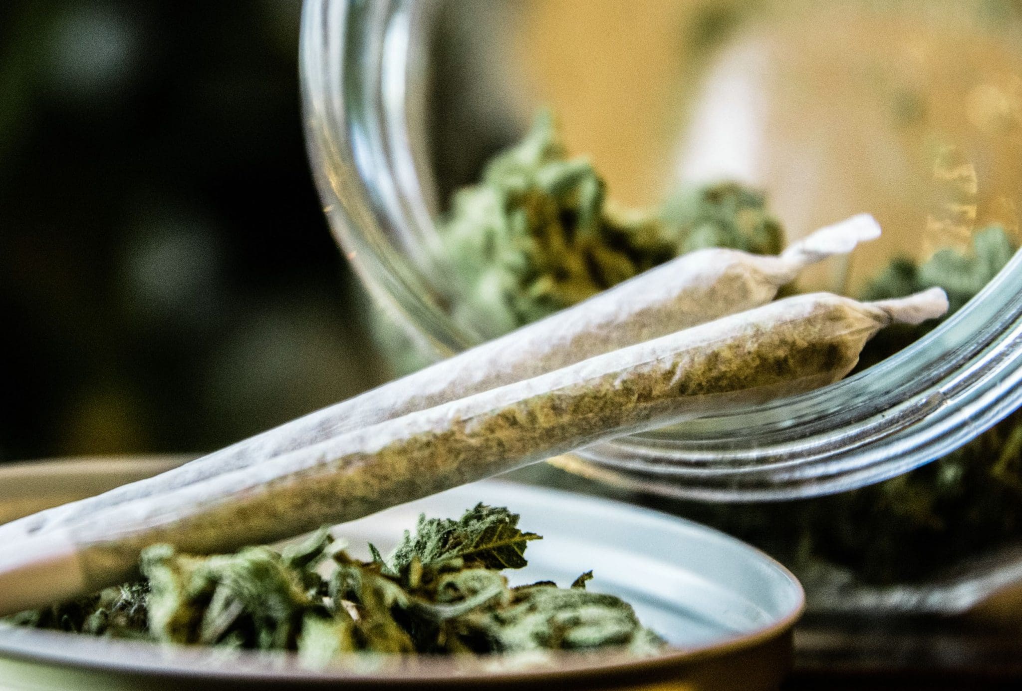 Guide to Best Grinder The Santa Cruz Shredder – Your Guide to the Best Grinder