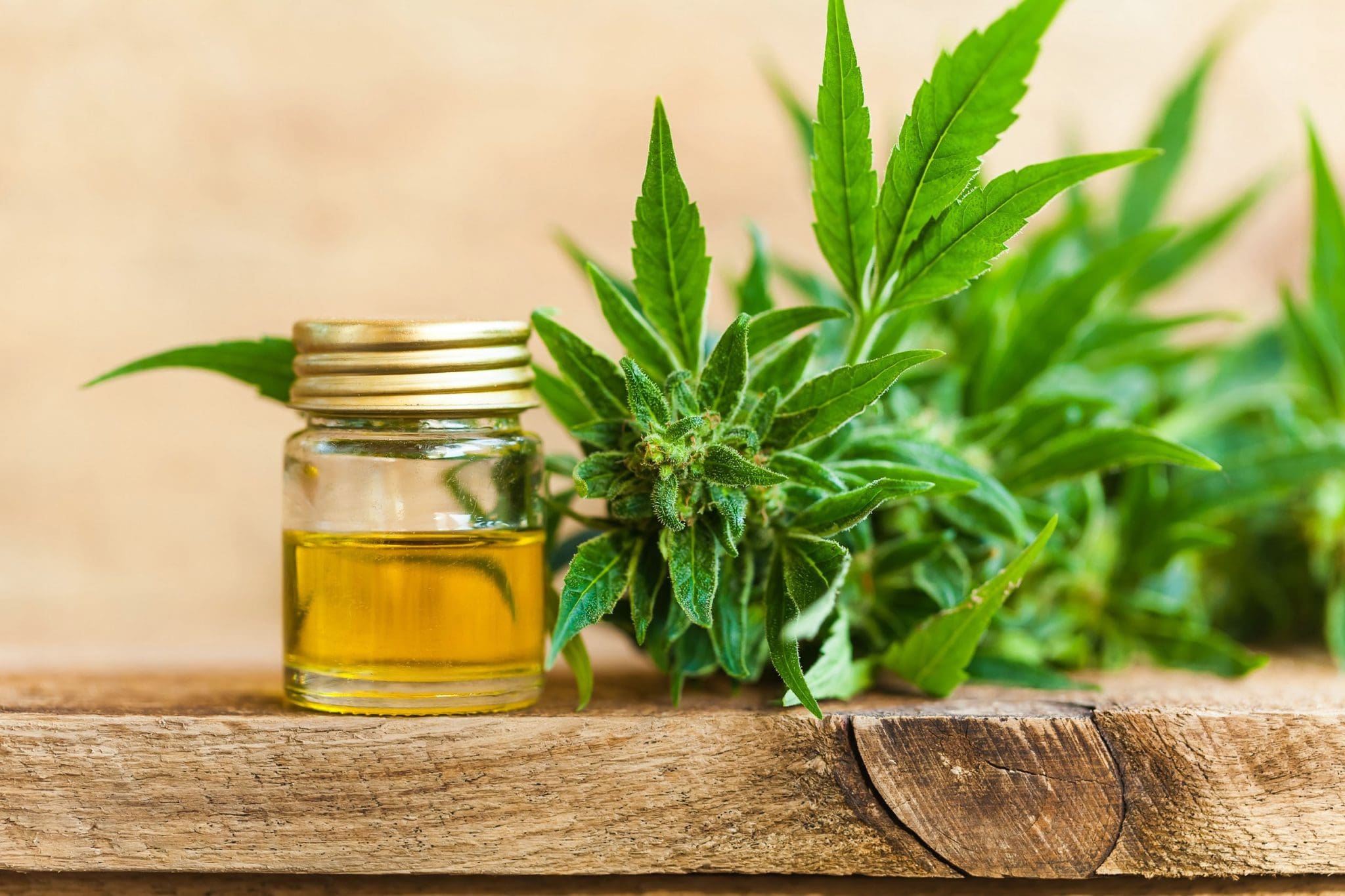 Cannabis Consumption Methods: Every Way to Use Cannabis Compared