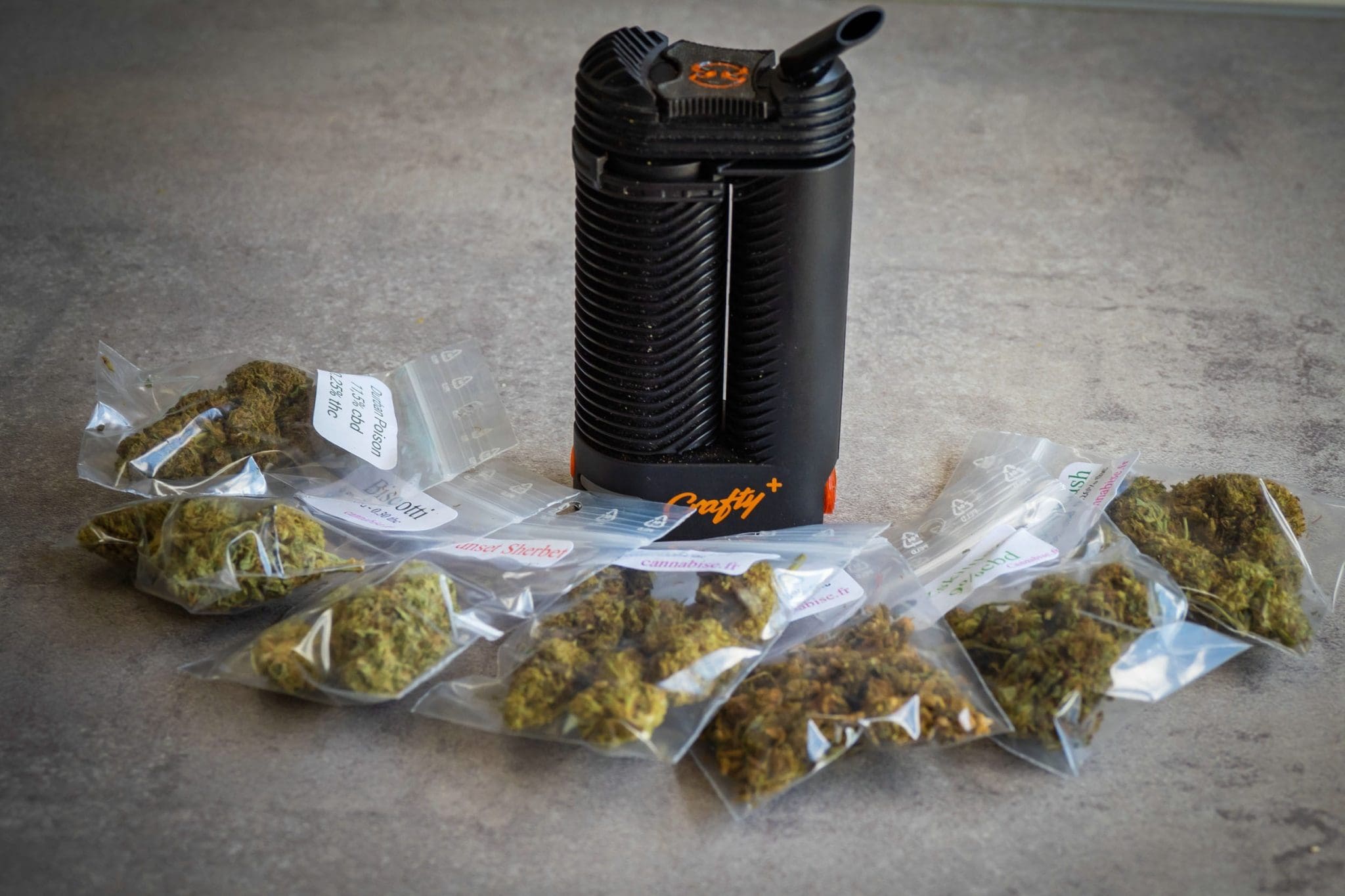 Indica Strain Improving Mood The Benefits of Indica Strains for Improving Overall Mood