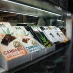 Cannabis Advocacy News: Monthly 2024 Roundup for Weed Enthusiasts