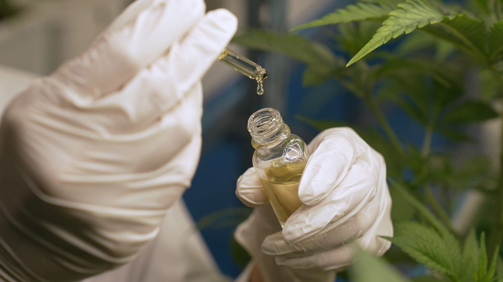 Success Stories Extracts Success Stories Uncovered: Cannabis Extracts in the Spotlight