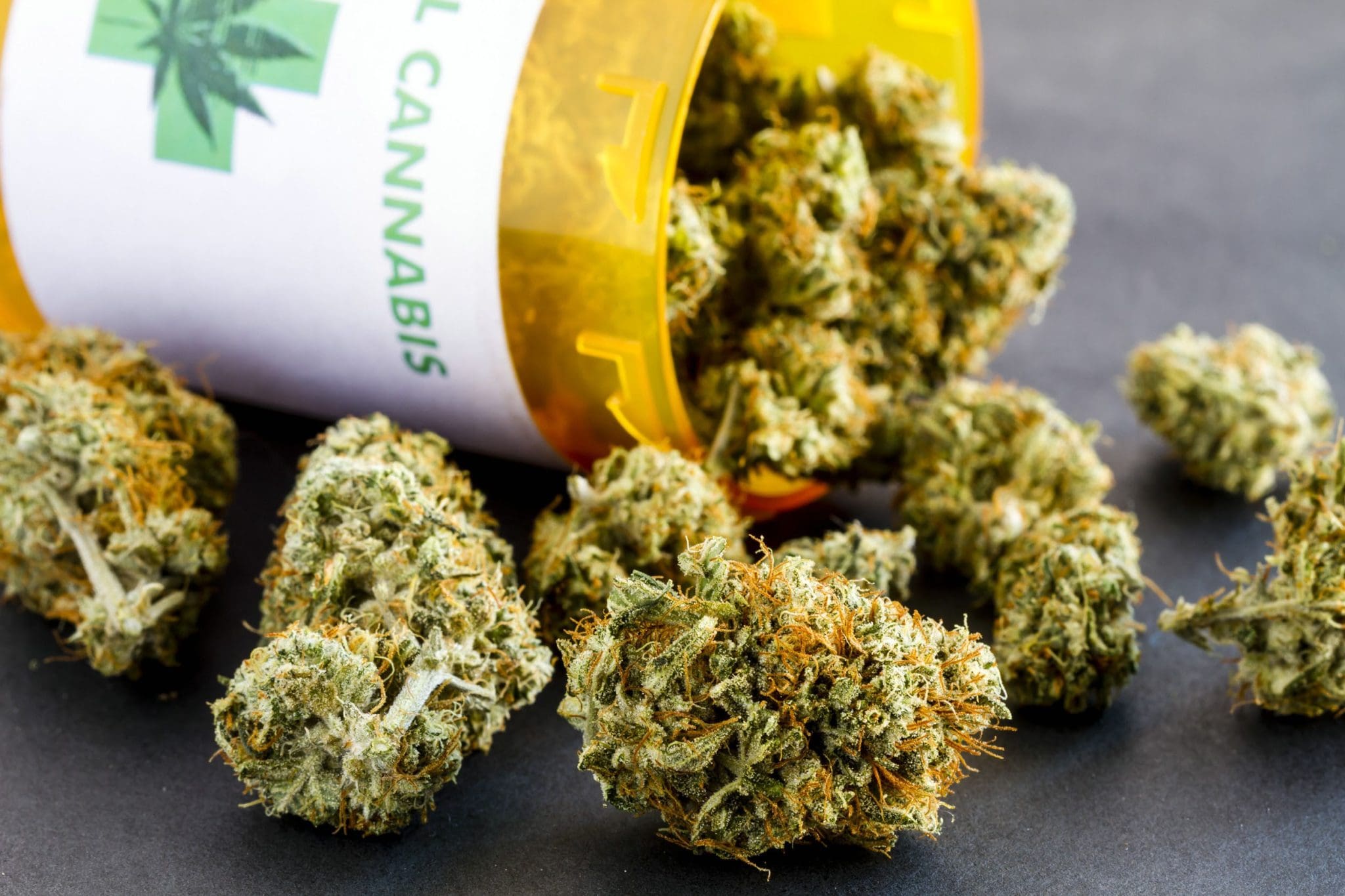 Terpenes vs. Cannabinoids: What’s the Difference?