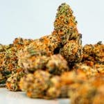 Dank Weed: Good or Bad? The Truth Behind this Weed Slang